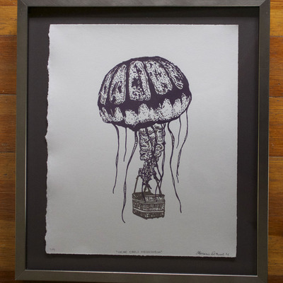 "calor caeli medusozoa" framed