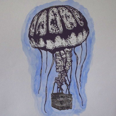 "chrysaora colorata aerostatum"