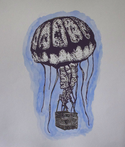 "Chrysaora Colorata Aerostatum"