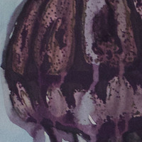 "Aerostatum Medusozoa" - Thumbnail 1