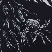 "Cystoseira Nodosa Barba" - Thumbnail 2