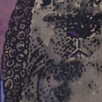 "Lepus Teuthida" Framed - Thumbnail 2