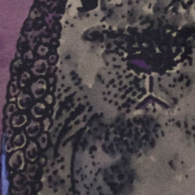 "lepus teuthida" framed