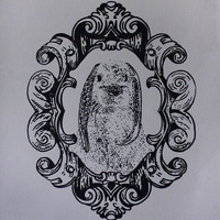 "Lepus Teuthida I, II, III, IV" - Thumbnail 2