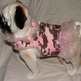 Designer Pink Camouflage Vest/Harness-1