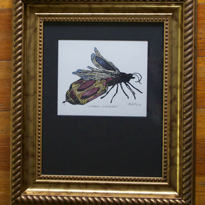"lanterna lampyridae" framed