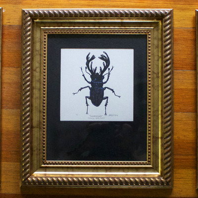 "lanterna lampyridae" framed