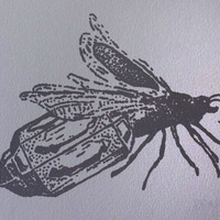 "Lanterna Lampyridae I, II, III, IV" - Thumbnail 1