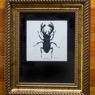 "lucanidae" framed