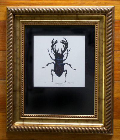 "Lucanidae" Framed