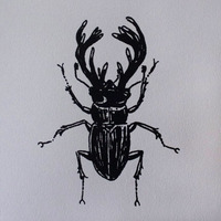 "Lucanidae I & II" - Thumbnail 1