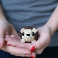 Hamilton Hedgehog - Thumbnail 2