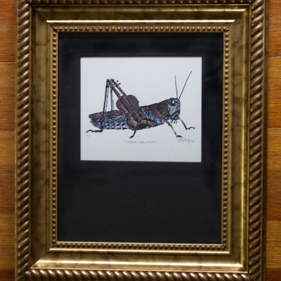 "vitula caelifera" framed - Thumbnail 1