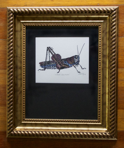 "Vitula Caelifera" Framed