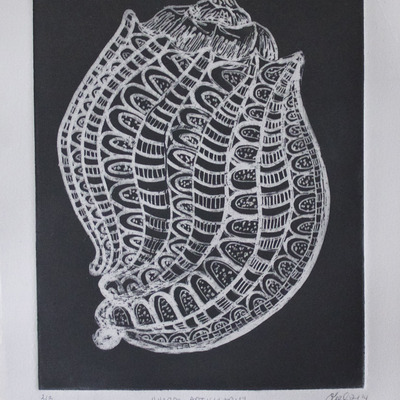 "harpa articularis", "harptastic", "harp conch", & "meloncholia of the harp"