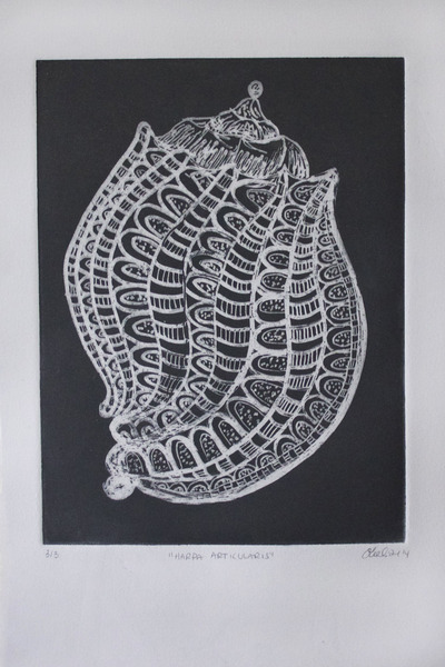 "Harpa Articularis", "Harptastic", "Harp Conch", & "Meloncholia of the Harp"