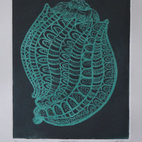 "Harpa Articularis", "Harptastic", "Harp Conch", & "Meloncholia of the Harp" - Thumbnail 1