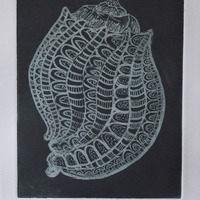 "Harpa Articularis", "Harptastic", "Harp Conch", & "Meloncholia of the Harp" - Thumbnail 2