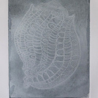 "Harpa Articularis", "Harptastic", "Harp Conch", & "Meloncholia of the Harp" - Thumbnail 3