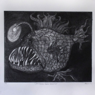 "lophiformes punica granatum"