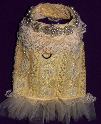 Lovely vest/harness vintage material