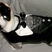 Elegant Black Tuxedo Vest/Harness - Thumbnail 2