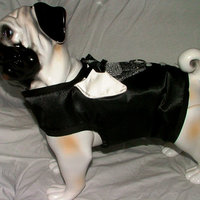 Elegant Black Tuxedo Vest/Harness - Thumbnail 3