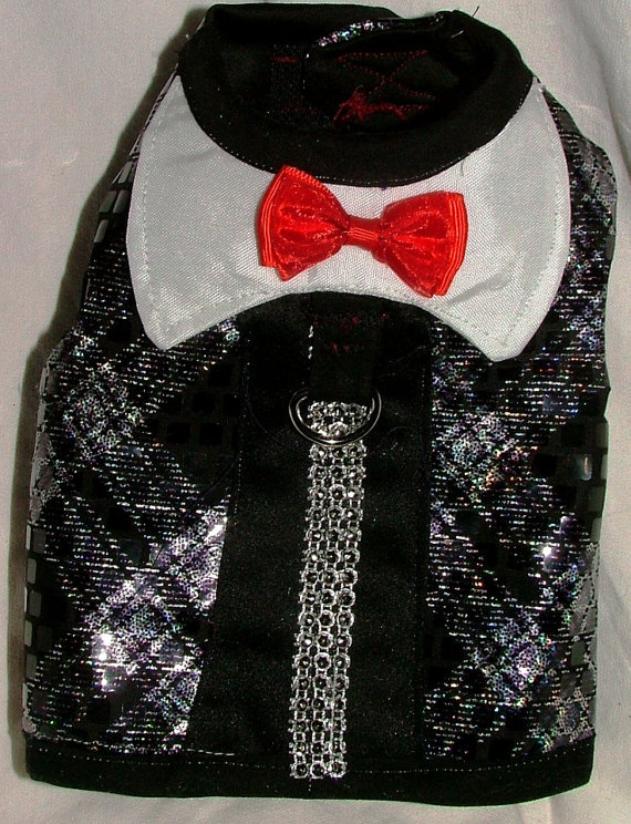 Cute Tux Vest/Harness 