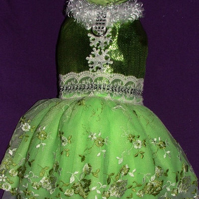 Lime and snow flakes formal dog dress