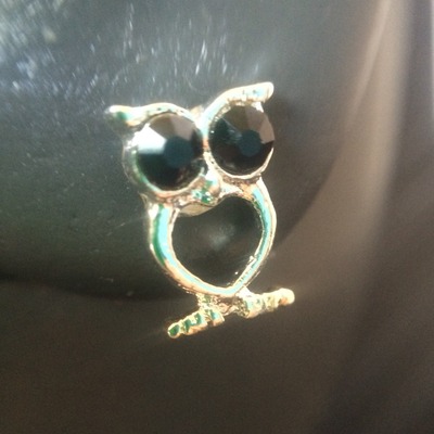 Owl studs