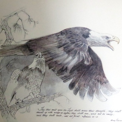 "eagle" print 11x14