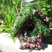  The Garden Fairy House - Thumbnail 1