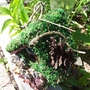  The Garden Fairy House-2