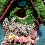  The Garden Fairy House-4