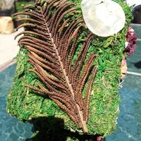 The Garden Fairy House - Thumbnail 4