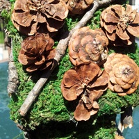 The Woodland Fairy House - Thumbnail 1