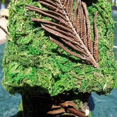 The woodland faerie house