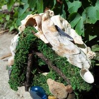 The Beach Comber Fairy House - Thumbnail 2