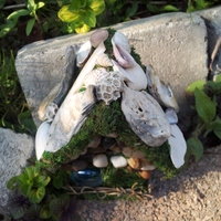 The Beach Comber Fairy House - Thumbnail 3