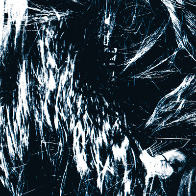 Brutal blues brutal blues [cd]