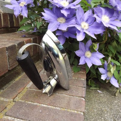 Industrial chrome rex ray vintage electric clothes iron, atomic era antique home decor