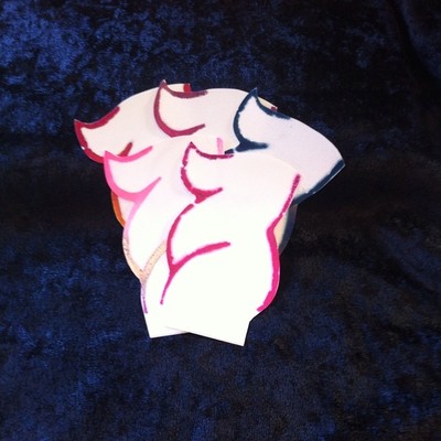 5 pk hand cut nosh stickers