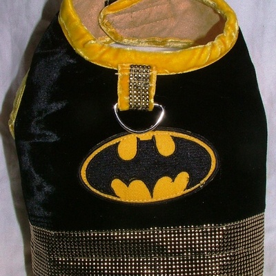 Terrific batman harness