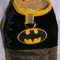 Terrific Batman Harness