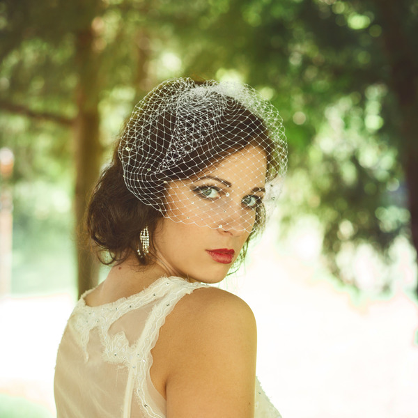 Crystal Birdcage Veil 