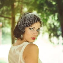 Crystal Birdcage Veil 