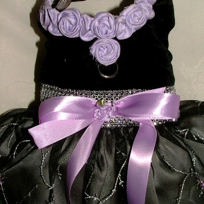 Black velvet and lavender rose designer dog dress