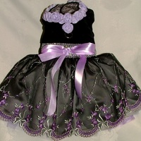 Black Velvet and Lavender Rose Designer Dog Dress - Thumbnail 1