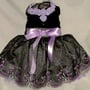 Black Velvet and Lavender Rose Designer Dog Dress-1