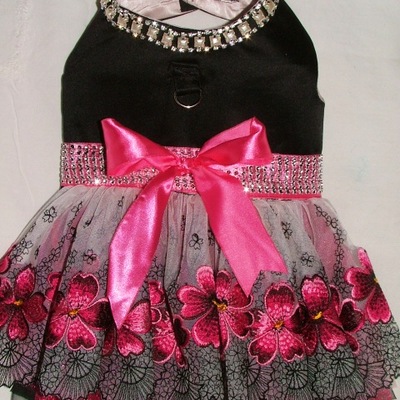 Black velvet, red roses border designer dress